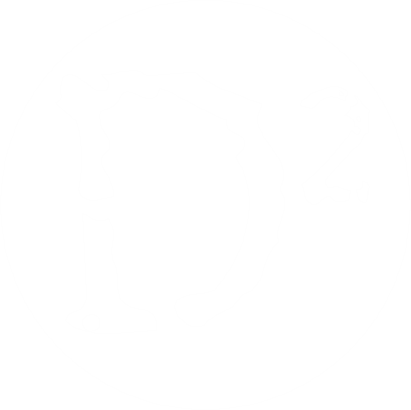 D2